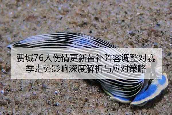 fei-cheng-ren-shang-qing-geng-xin-ti-bu-zhen-rong-tiao-zheng-dui-sai-ji-zou-shi-ying-xiang-shen-du-jie-xi-yu-ying-dui-1-855.jpg